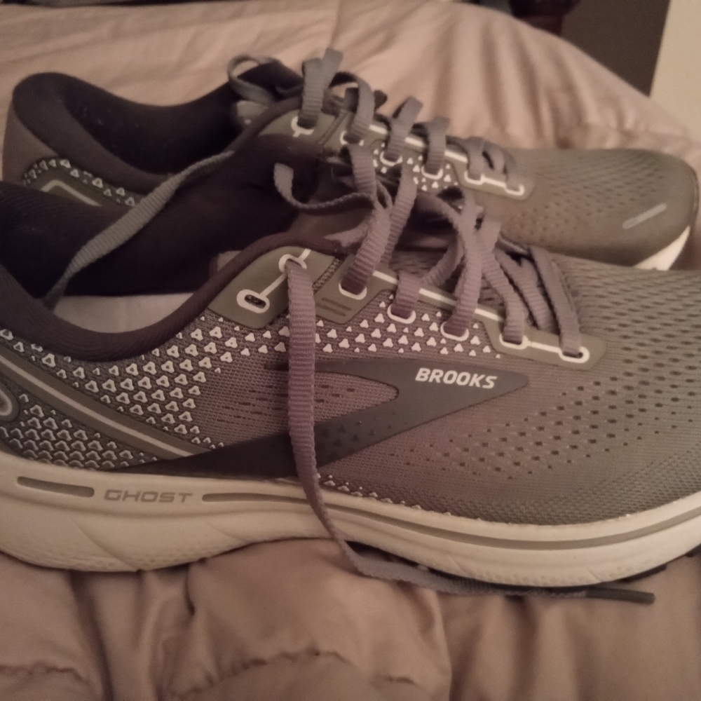Brooks ghost 14